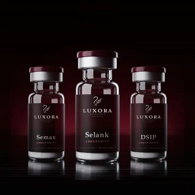 Luxora Research · set · cognitive brain stack