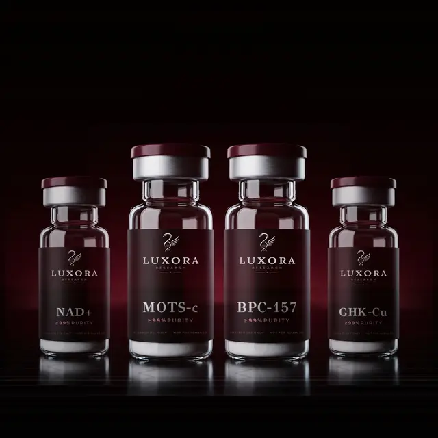Luxora Research · set · foundation stack